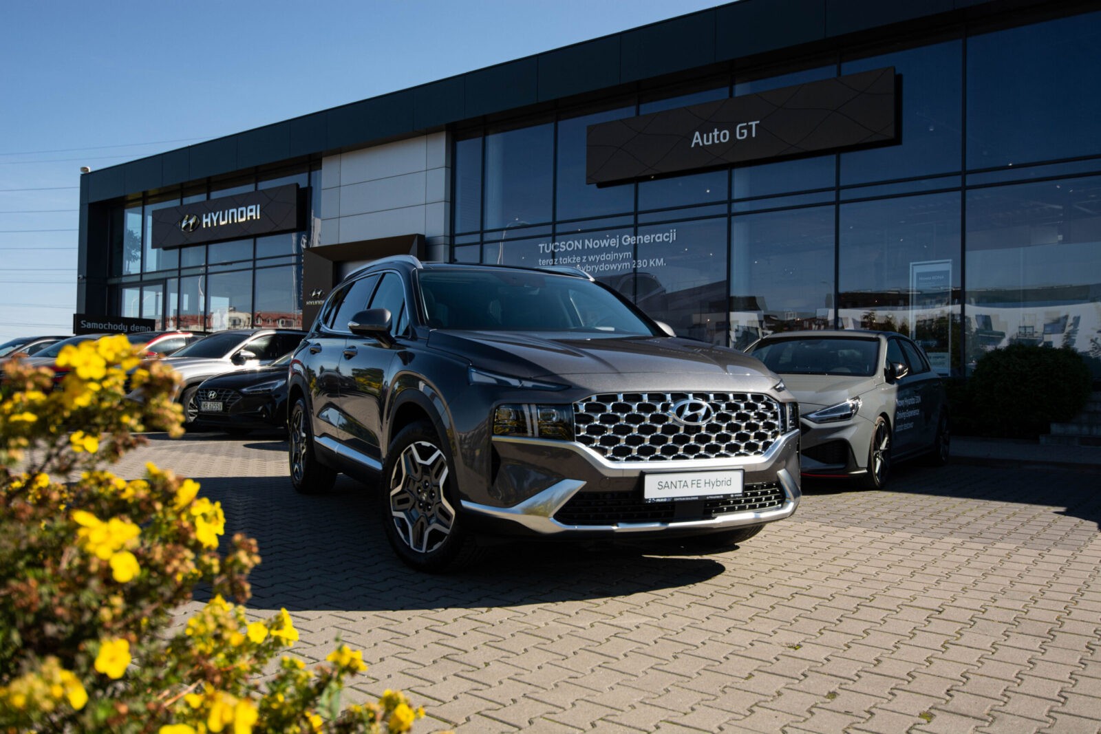 Samochody nowe Auto GT Hyundai & Mitsubishi